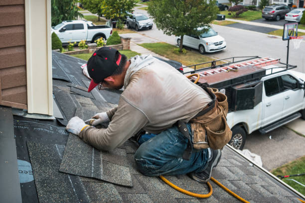 Professional Gutter Repair And Installation technician working in Friendswood, TX